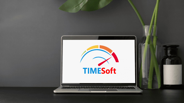Phần mềm chấm công TimeSOFT