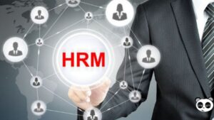 Top 7+ phần mềm nhân sự chuyên nghiệp được tin dùng nhất hiện nay
